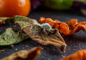 Descriptive Name: Moldy and Dried Herbs: A macro close-up of shriveled, dried, and decaying plant leaves and spices on a dark surface, with visible mold and a rotting texture