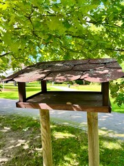 Bird Feeder Made of Wood Under Lush Green Leaves in a Park