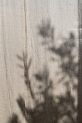 Floral sunlight shadows on a neutral beige linen curtains, aesthetic minimalist natural background with copy space	