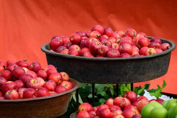 Crates of apples at Tbilisoba Tbilisi City Fest, annual Autumn harvest festival celebrated in Tbilisi, the capital of Georgia