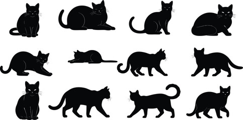 cat, black, silhouette, animal, feline, pose, vector, design, shape, pet, isolated, background, walking, sitting, crouching