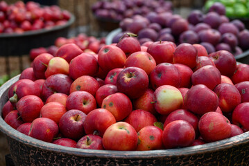 Crates of apples at Tbilisoba Tbilisi City Fest, annual Autumn harvest festival celebrated in Tbilisi, the capital of Georgia