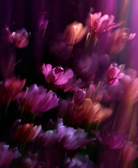 Purple flowers with motion blur effect. Dreamy and abstract floral background for art project.