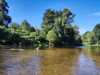 Flusslandschaft