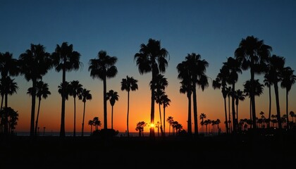 Obraz premium The sun sets over the ocean behind a row of silhouetted palm trees on a beach, creating a dark and dramatic scene.