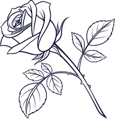 Elegant single rose petal line art in black and white