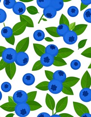 Blueberry pattern on white background