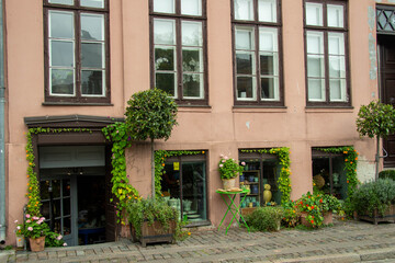 Entrance of a small shop in Copenhagen with climbing plants around the door