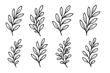Vector set of hand drawn leaf branches. Botanical doodle illustration with foliage elements. Cartoon line art plant, twig collection for minimalist organic decorative designs.