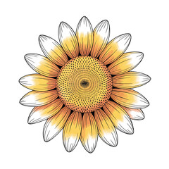 Fototapeta premium Elegant minimalist line art illustration of a botanical element