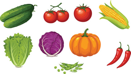 Colorful Vegetable and Fruit Illustration Set Featuring Tomato, Corn, Lettuce, Cabbage, Pumpkin, Cucumber, Chili, Peas for Food Concepts