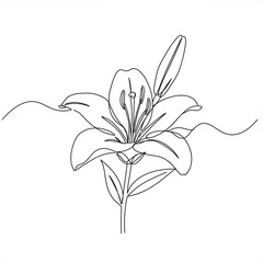 Line art illustration of a lily flower with leaves and stem  