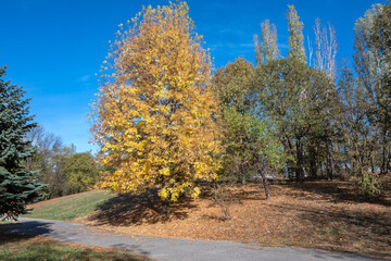 Landscape of South Park in city of Sofia, Bulgaria