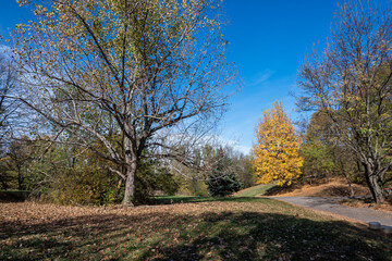 Landscape of South Park in city of Sofia, Bulgaria