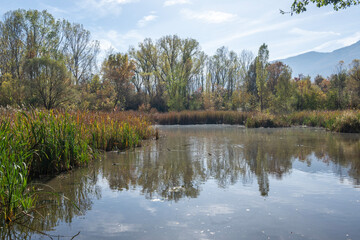 Obraz premium Landscape of South Park in city of Sofia, Bulgaria