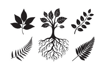 Black and white botanical illustrations of a tree and leaves © Sadek