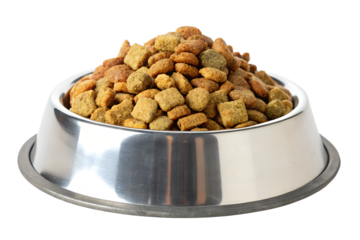 A silver dog bowl overflowing with dry kibble, showcasing a nutritious and appealing meal for pets