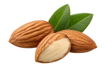 Freshly harvested almonds with vibrant green leaves, showcasing their natural beauty and nutritional value, isolated on a clean white background