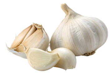 Fresh whole garlic bulb and separated cloves, a pungent and healthy culinary ingredient, perfect for seasoning various dishes