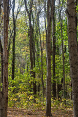 Landscape of South Park in city of Sofia, Bulgaria