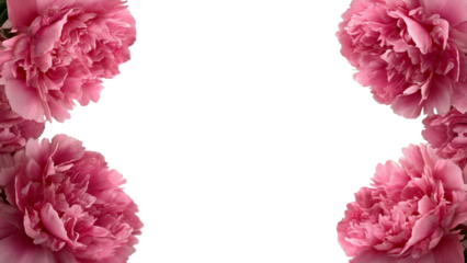PNG of Beautiful pink peonies framing a blank center, perfect for adding your own text or image.