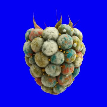 Moldy Blue Raspberry