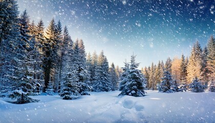 Fototapeta premium Christmas New Year Magic Snow Fall In Winter Forest