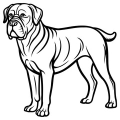 Black and white line drawing of a muscular dog standing