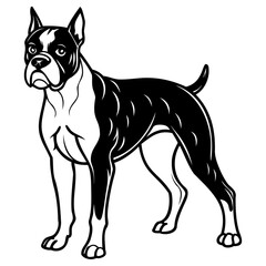 Black and white illustration of boxer dog standing