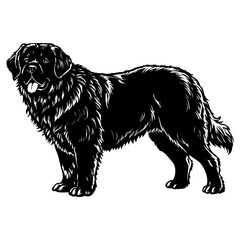 Black newfoundland dog standing in profile illustration