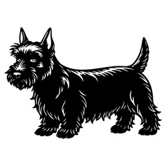 Black silhouette of a scottish terrier dog standing