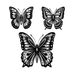 Obraz premium Collection of black and white butterfly design