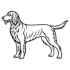 Elegant spaniel dog standing side profile illustration
