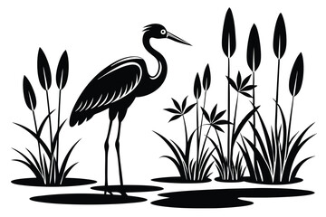 Black Heron Silhouette Standing in a Marsh with Cattails and Grassy Plants