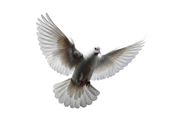 A transparent dove in dynamic mid-flight with wings spread, isolated against a stark black background with subtle rim lighting, photorealistic studio shot conveying peace and freedom concept of purity