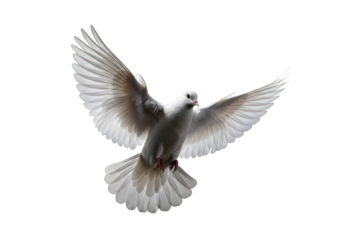 A transparent dove in dynamic mid-flight with wings spread, isolated against a stark black background with subtle rim lighting, photorealistic studio shot conveying peace and freedom concept of purity