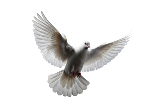 A transparent dove in dynamic mid-flight with wings spread, isolated against a stark black background with subtle rim lighting, photorealistic studio shot conveying peace and freedom concept of purity