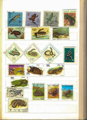 Obraz premium Exploring the Wonder of Fauna Through Used Commemorative Postage Stamps From Various Countries