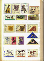 Exploring Various Commemorative Postage Stamps Featuring Captivating Animals From Around the World