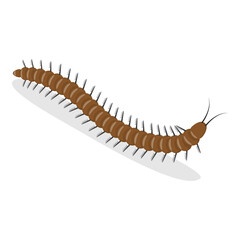 3D Isometric Flat  Set of Caterpillars And Worms. Item 4