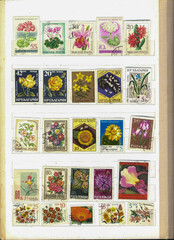 Obraz premium Exploring the Beauty of Global Flora Through a Vibrant Collection of Commemorative Stamps
