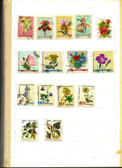 Obraz premium Varied Commemorative Postage Stamps Highlighting Beautiful Flowers From Different Countries