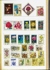 Obraz premium A Vibrant Collection of Used Commemorative Postage Stamps Showcasing Stunning Flower Designs