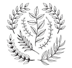 Obraz premium Decorative Laurel Wreath Hand Drawn Vector for Awards and Certificates