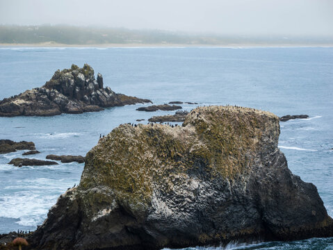The Rocky Coast of the Pacific Northwest