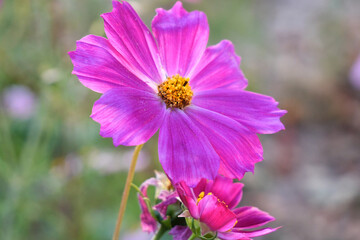 Obraz premium Evening landscape with cosmos and the Sun.