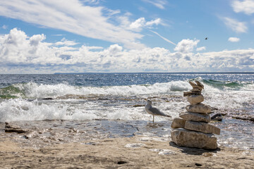 A tranquil view of the rugged shores of Flowerpot Island with waves crashing and a solitary seagull.