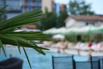 Fototapeta premium Blue swimming pool with visible square tiles under the water. Clear aqua surface creates a refreshing summer holiday background.