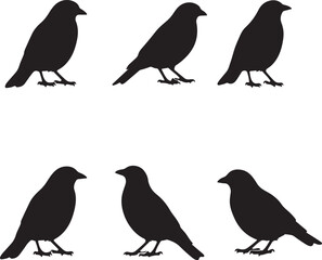 Six Black Bird Silhouettes on White Background.
