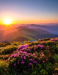 Mountain Sunrise with Blossoms